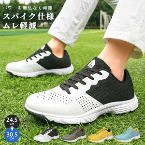 StV[Y Y Ȃ y y JWA Vv St v  AEghA  