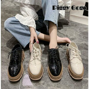 [t@[ fB[X pvX ECO`bv Xb|  vC C Ȃ 5cm [XAbv ʋ ʊw  