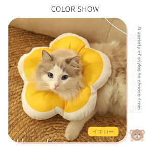 \tgyʃ^Cv h[icGUxXJ[ pi lRLp pȎyʏpEFAی쏝rߖh~ ~h~wXPA `OX֑