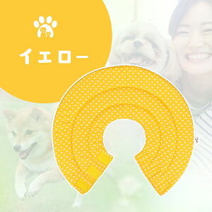 GUxXJ[  L \tg p㕞 ybgp\tgGUxXJ[