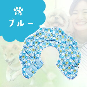 �G���U�x�X�J���[ �� �L �\�t�g �p�㕞 �y�b�g�p�\�t�g�G���U�x�X�J���[