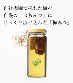 梅みつ 280g | はちみつ 蜂蜜 ハチミツ お歳暮 お歳暮ギフト 贈答用 退職 お礼 退職祝い 忘年会 新年会 贈答品