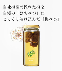 ~݂ 280g | ݂͂ I n`~c Ε ΕMtg p ސE  ސEj YN VN i