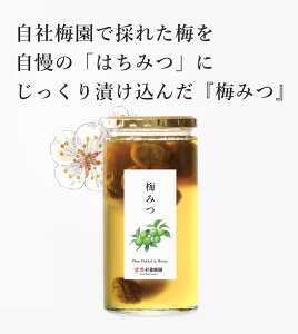 ~݂ 850g | ݂͂ I n`~c Ε ΕMtg p ސE  ސEj YN VN i
