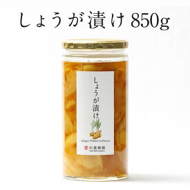 【杉養蜂園公式】しょうが漬け 850g [ しょうが湯 はちみつ 蜂蜜 ハチミツ 生姜 しょうが ギフト プレゼント プチギフト グルメ グルメギフト 内祝い 熊本 お土産 熊本土産 ]