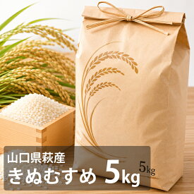 山口県産 お米 5キロ きぬむすめ