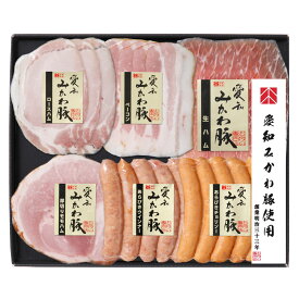 愛知みかわ豚 ハムバラエティセット AMSH40E【チルド配送】ロースハム50g、ベーコン50g、厚切りももハム80g、あらびきウインナー130g、あらびきチョリソー130g、生ハム50g×各1 内祝い お中元 結婚祝い お取り寄せグルメ 冬ギフト 春の贈り物 お家でご馳走 お祝い返し
