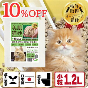 TVfBAŏЉ L I[KjbN L yɂ񏬗 1.2Lz LƓpHl q oA@\ XLPA ph6.4 z ؐ 100 Rf SY N\h H