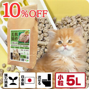 TVfBAŏЉ L I[KjbN L yɂ񏬗 5Lz LƓpHoX q oA@\ XLPA ph6.4 z ؐ 100 Rf SY N\h HS