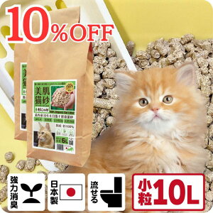 TVfBAŏЉ L I[KjbN L yɂ񏬗 10Lz LƓpHoX q oA@\ XLPA ph6.4 z ؐ 100 Rf SY N\h H