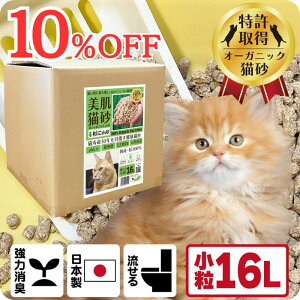 TVfBAŏЉ L I[KjbN L yɂ񏬗 16Lz LƓpHoX q oA@\ XLPA ph6.4 z ؐ 100 Rf SY N\h H