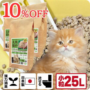 TVfBAŏЉ L I[KjbN L yɂ񏬗 25Lz LƓpHoX q oA@\ XLPA ph6.4 z ؐ 100 Rf SY N\h H