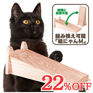 TBS˂ŏЉ VR ؐ L ܂Ƃ  ygɂ S 63cmz߂Ƃ ϋv jeA i RXp JXɏ V XgX  ˂ lR Lpi 