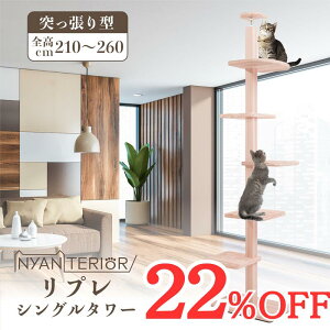 TBS˂ŏЉ Lbg^[ jeA yvVOzS210-260cm X RpNg VRؐ V œKpHoX Xї N\h tBg`bh L R 