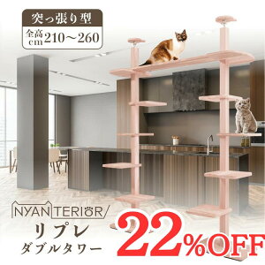 TBS˂ŏЉ Lbg^[ jeA yvW^[zS210-260cm n150cm X RpNg VRؐ V Xї N\h tBg`bh L  ܂Ƃ 