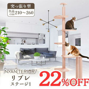 TBS˂ŏЉ Lbg^[ jeA yv Xe[W1zS210-260cm X RpNg VRؐ V œKpHoX Xї N\h tBg`bh L R 