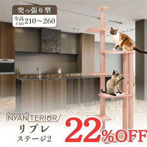 TBS˂ŏЉ Lbg^[ jeA yv Xe[W2zS210-260cm X RpNg VRؐ V œKpHoX Xї N\h tBg`bh L R 