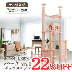 TBS˂ŏЉ Lbg^[ jeAyp[N5iBOXfzS210-260cm ˂ VRؐ ^   Xї bNX 􂦂 N\h tBg`bh R ܂