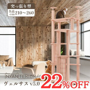 TBS˂ŏЉ Lbg^[ jeAyFTX 5ifz˂ S210-260cm ^L VRؐ V Xї N\h tBg`bh L R  ܂Ƃ 