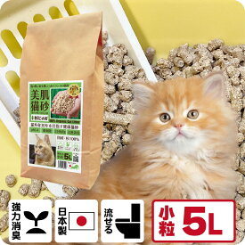 TVメディアで紹介 消臭 オーガニック 猫砂 【杉にゃん小粒 5L】 猫肌と同じpHバランス 敏感肌 バリア機能を守る スキンケア ph6.4 肌想い 木製 杉100％ 自然素材 完全無添加 健康予防 誤食も安心 生分解 堆肥化 固まらない 流せる 抗菌 抗酸化 国産