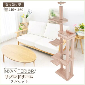 TBS�˂������ŏЉ� �L���b�g�^���[ �j�����e���A �y���v�� �h���[�� �t���Z�b�g�z �S�[�W���X �X���� �R���p�N�g �V�R�ؐ� �V�������� �œKpH�o�����X �X�ї� ���N�\�h ���L �R�� �������� ��