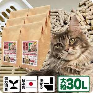 TVメディアで紹介 消臭 オーガニック 猫砂 【杉にゃん大粒 30L】 猫肌と同じpHバランス 敏感肌 バリア機能を守る スキンケア ph6.4 肌想い 木製 杉100% 自然素材 完全無添加 健康予防 誤食も安
