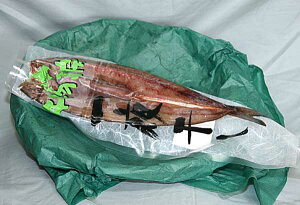 y2id݈銱ق@250gTCYz