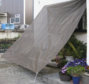 yzTVF[hDBR^[t1@W200×H200cm XN[@I[jO@