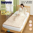 Sugiyama ホット足入れマット 日本製 ホットマット 足入れ 足元 洗える 一人用 電気マット 足元 一人用 足冷え対策 女…