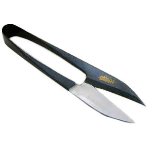 y䂤pPbgΉz ؂ ͂ nT~ OY