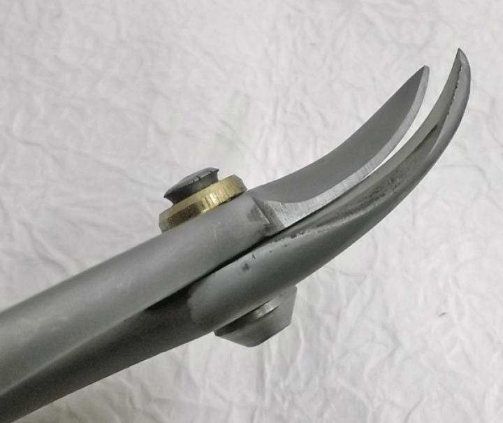 楽天市場】種光 BIGGCUT 180 エグリ 高級金切鋏 ブリキバサミ 【送料