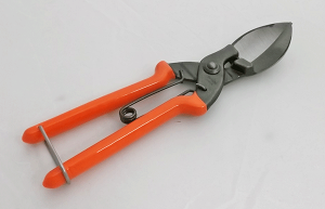 jjNJ{`̎n zKc쏊 ڂn ڂyz