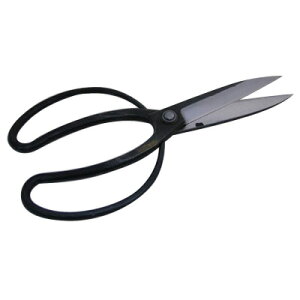 A؂͂ 4n v n ͂݁@yz