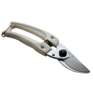 AX΂ ΂ { ͂  y䂤pPbgΉz