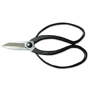 A؃oT~@vی^@̂͂݁@yz