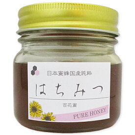 楽天市場 日本ミツバチ 蜂蜜 非加熱の通販