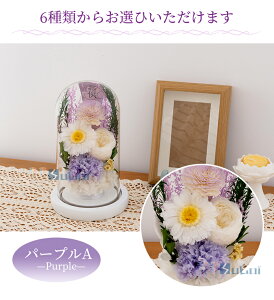 yyV1ʁz vU[uht[   ledt   h[ ͂Ȃ  [Y KXh[ AWg ~ ~ @ 1  