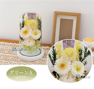 yyV1ʁz vU[uht[   ledt   h[ ͂Ȃ  [Y KXh[ AWg ~ ~ @ 1  