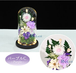 yyV1ʁz vU[uht[   ledt   h[ ͂Ȃ  [Y KXh[ AWg ~ ~ @ 1  