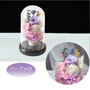 yyV1ʁz vU[uht[   ledt   h[ ͂Ȃ  [Y KXh[ AWg ~ ~ @ 1  