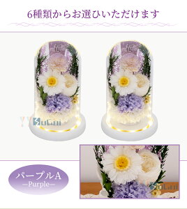   vU[uht[   h[ ͂Ȃ  [Y KXh[ AWg ~ ~ @ 1  ފ dp ~ @v O 