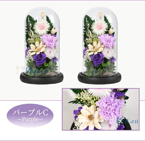   vU[uht[   h[ ͂Ȃ  [Y KXh[ AWg ~ ~ @ 1  ފ dp ~ @v O 