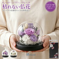 【15%offクーポン】プリザーブドフラワー 枯れない仏花 ガラスドーム お供え花 水やり不要 コンパクト仏…