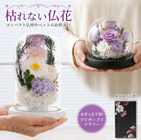 【楽天1位】仏花 プリザーブドフラワーお供え花 おしゃれ 生花 led付 お悔やみ お供え ドーム仏花 枯れない花 お供え物 ローズ ガラスドーム アレンジメント お盆 旧盆 法事 1周忌 仏事 お彼岸 お仏壇用 初盆 三回忌 七回忌 ペットのお供え