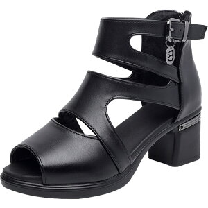 `L[q[T_ fB[X nCq[T_ T}[ tBbV}EXT_ I[vgD`L[q[pvX 5cm ₷ r  I[vgD 芴 