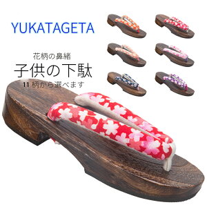  LbYqp@RXvp  ԕ@ ɂȂ@ a  ԉΑ čՂ ̕ 16.0cm-23.0cm