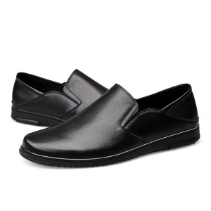 vC Xb| {v [t@[ JV JWAV[Y YC v Ȃ hCrOV[Y Ep ʋ rWlXV[Y y h ubN  ʋC ₷ 24.0cm