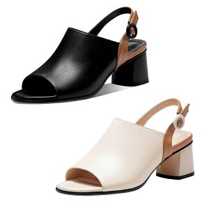 `L[q[T_ fB[X nCq[T_ T}[ tBbV}EXT_ I[vgD`L[q[pvX 5cm ₷ r  I[vgD 芴 