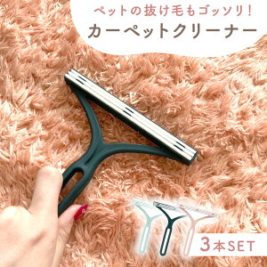 【mitas公式】 毛取りクリーナー ペット カーペットクリーナー 犬 猫 毛玉取 水洗い コンパクト 絨毯 ソファ 多用途クリーナー ブラシ ほこり 洋服 繰り返し使える 車内 電気不要 自宅用 家庭