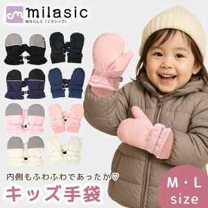 yMILASICz LbY Xm[O[u  {Af N w wN ʊw ۈ牀 ct N WjA  킢  V h ΍ XL[ Xm{[h  